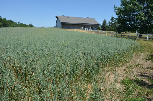 Property photo 81 - 21 Acre Modern Country Estate